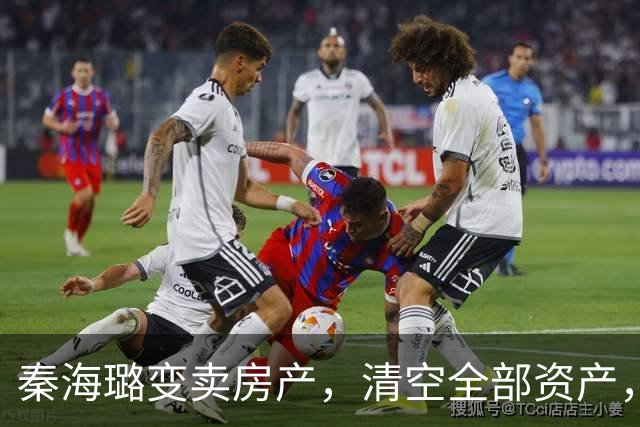 秦海璐变卖房产，清空全部资产，凑出近亿身家，绝境兜底救下刘涛